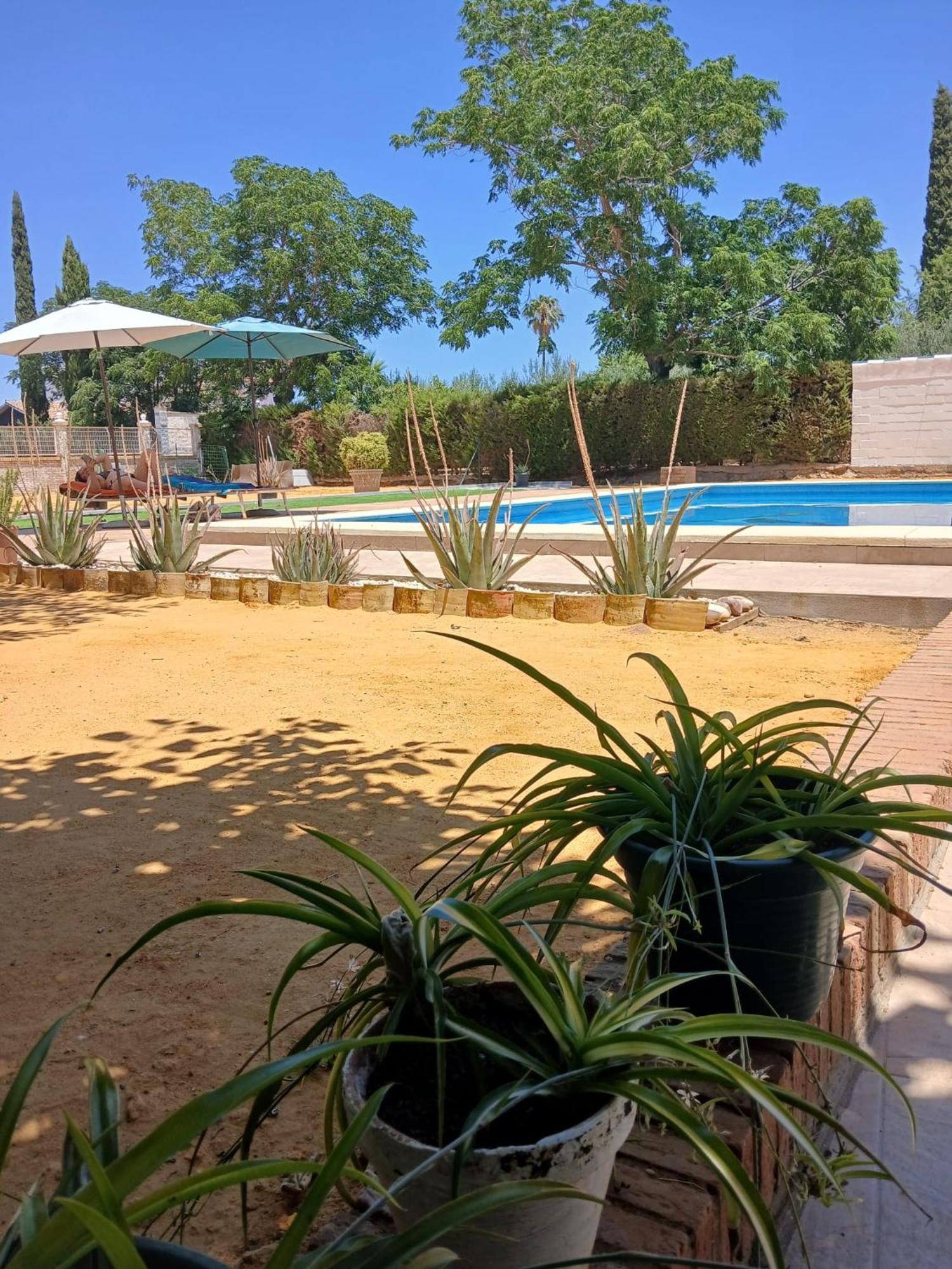 Relaxing Home Carmona  Exterior foto